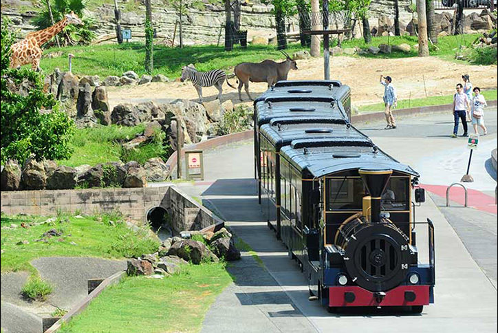 thum_4_4_ケニア号