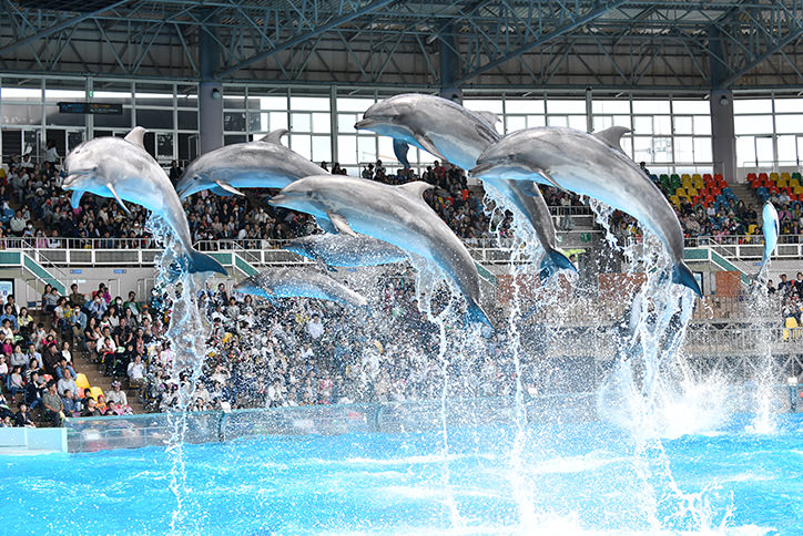 thum_4_4_マリンライブ_Smiles